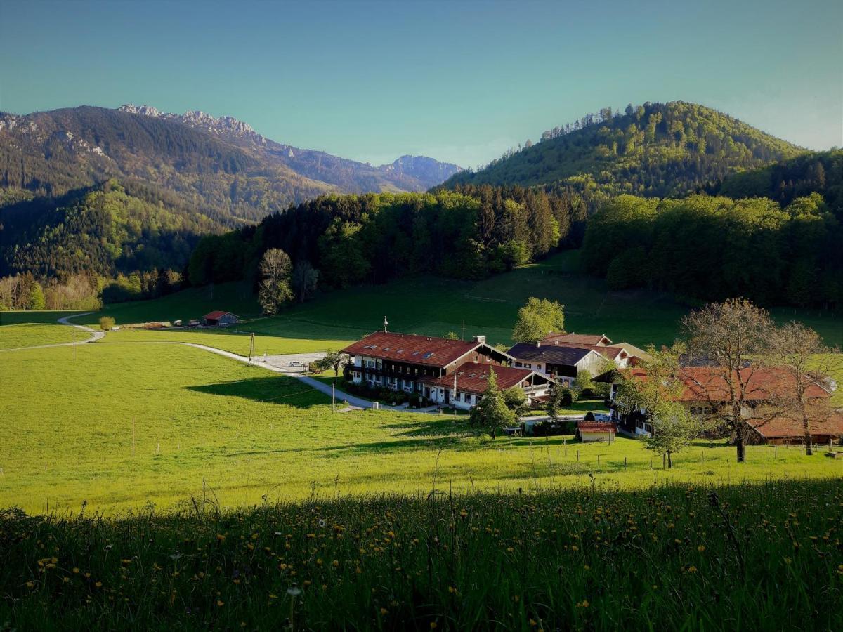 Appartement Gschwendtnerhof App10 Krausw à Aschau im Chiemgau Extérieur photo